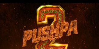 Allu Arjun की Pushpa 2 Teaser पर आई बड़ी अपडेट: 2 अप्रैल को होने जा रहा बड़ा और तगड़ा अनाउंसमेंट